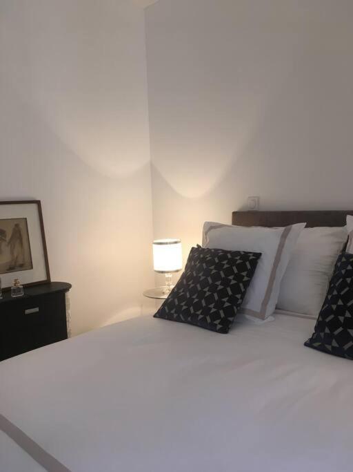 Apartament Ma Terrasse Sur Le Musee Chambéry Zewnętrze zdjęcie