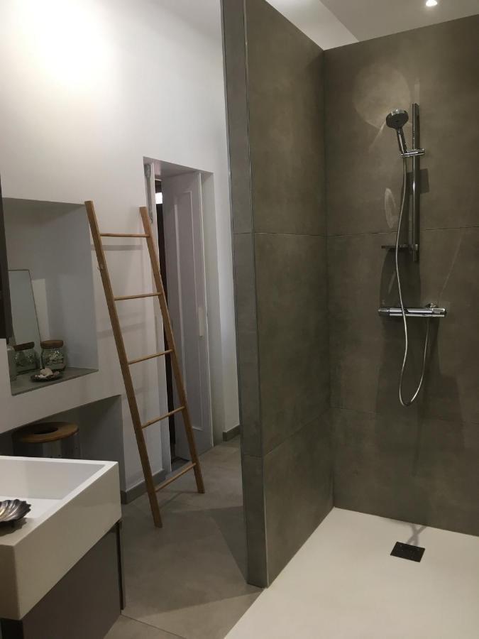 Apartament Ma Terrasse Sur Le Musee Chambéry Zewnętrze zdjęcie